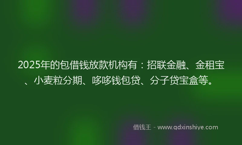 2025年的包借钱放款机构有：招联金融、金租宝、小麦粒分期、哆哆钱包贷、分子贷宝盒等。