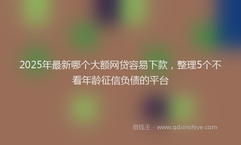 2025年最新哪个大额网贷容易下款，整理5个不看年龄征信负债的平台