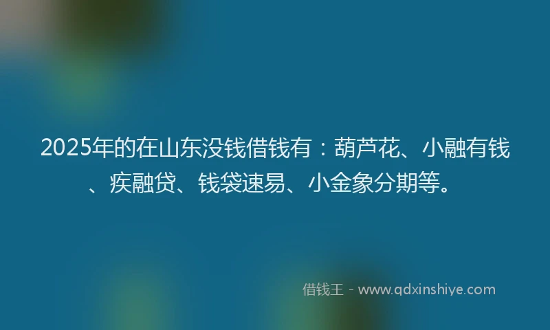 2025年的在山东没钱借钱有：葫芦花、小融有钱、疾融贷、钱袋速易、小金象分期等。