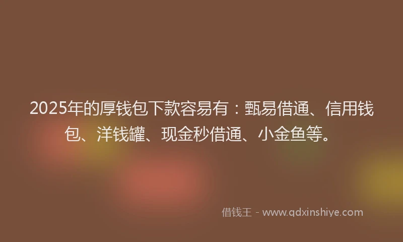 2025年的厚钱包下款容易有：甄易借通、信用钱包、洋钱罐、现金秒借通、小金鱼等。