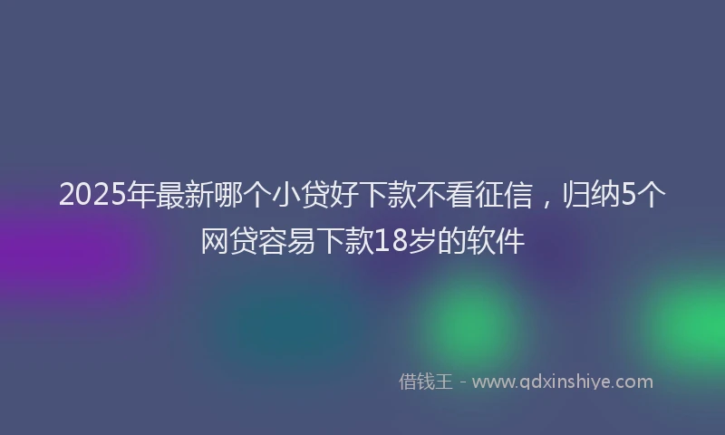 2025年最新哪个小贷好下款不看征信，归纳5个网贷容易下款18岁的软件