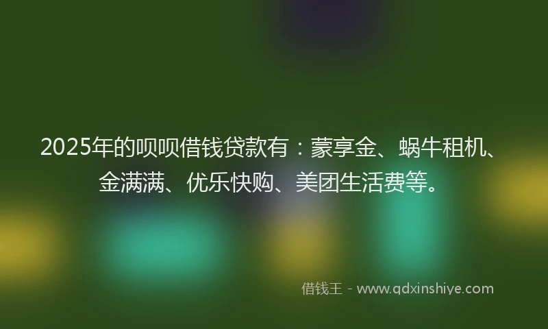 2025年的呗呗借钱贷款有：蒙享金、蜗牛租机、金满满、优乐快购、美团生活费等。