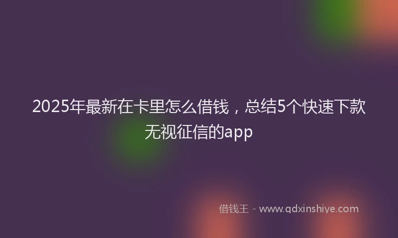 2025年最新在卡里怎么借钱，总结5个快速下款无视征信的app