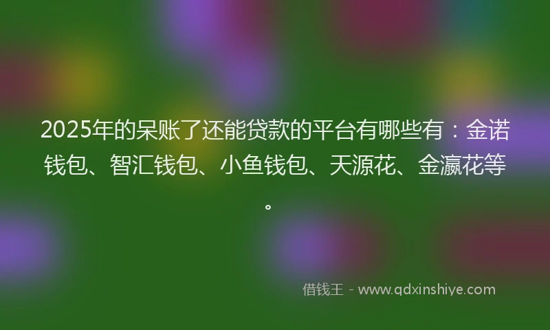 2025年的呆账了还能贷款的平台有哪些有：金诺钱包、智汇钱包、小鱼钱包、天源花、金瀛花等。