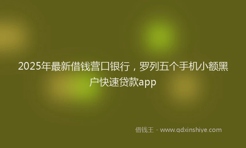 2025年最新借钱营口银行，罗列五个手机小额黑户快速贷款app