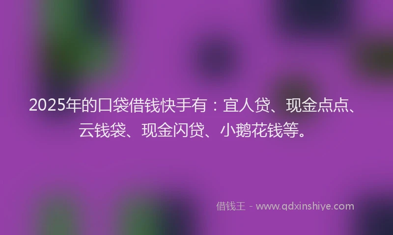 2025年的口袋借钱快手有：宜人贷、现金点点、云钱袋、现金闪贷、小鹅花钱等。