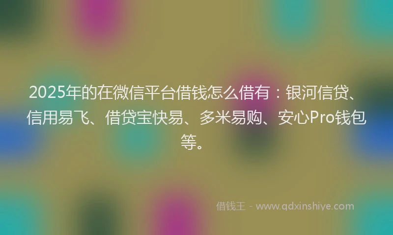 2025年的在微信平台借钱怎么借有：银河信贷、信用易飞、借贷宝快易、多米易购、安心Pro钱包等。
