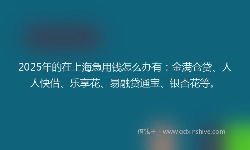 2025年的在上海急用钱怎么办有：金满仓贷、人人快借、乐享花、易融贷通宝、银杏花等。
