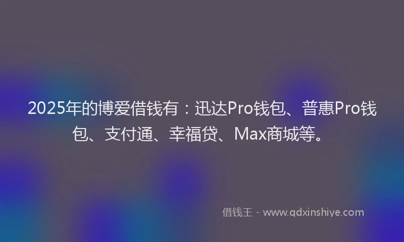 2025年的博爱借钱有：迅达Pro钱包、普惠Pro钱包、支付通、幸福贷、Max商城等。