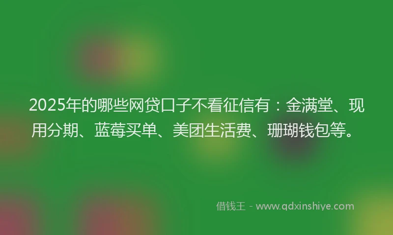 2025年的哪些网贷口子不看征信有：金满堂、现用分期、蓝莓买单、美团生活费、珊瑚钱包等。