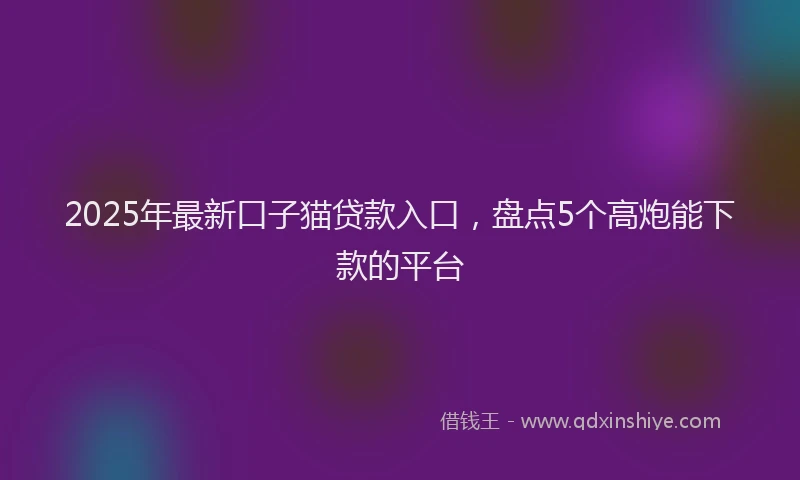 2025年最新口子猫贷款入口，盘点5个高炮能下款的平台
