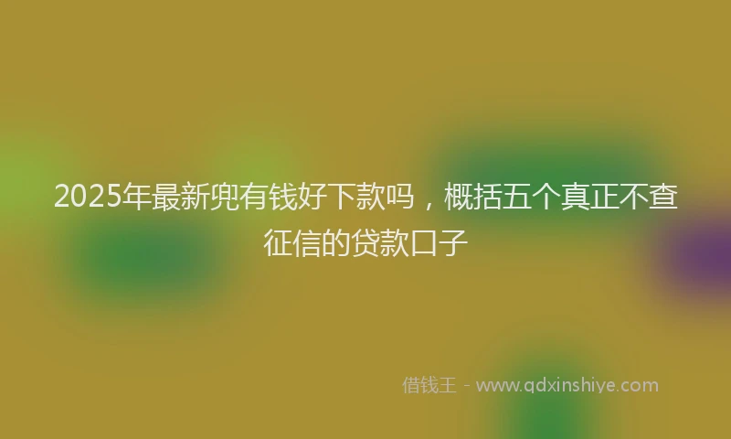 2025年最新兜有钱好下款吗，概括五个真正不查征信的贷款口子