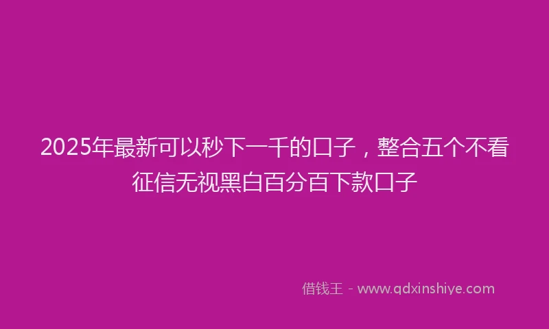 2025年最新可以秒下一千的口子，整合五个不看征信无视黑白百分百下款口子