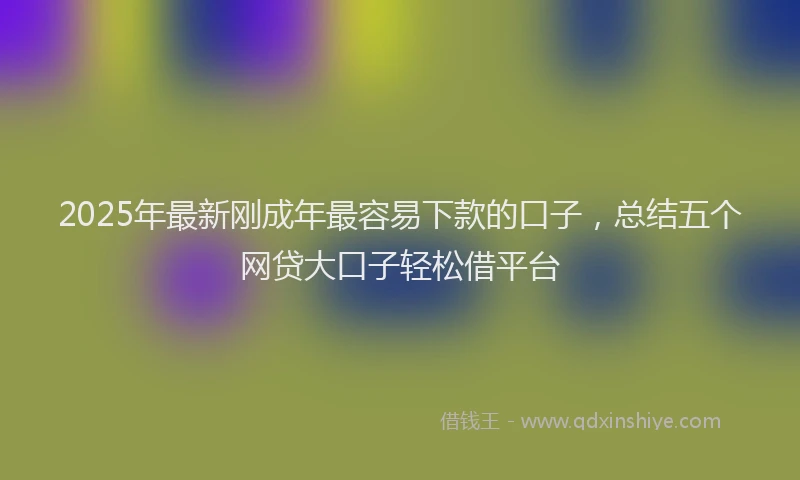 2025年最新刚成年最容易下款的口子，总结五个网贷大口子轻松借平台