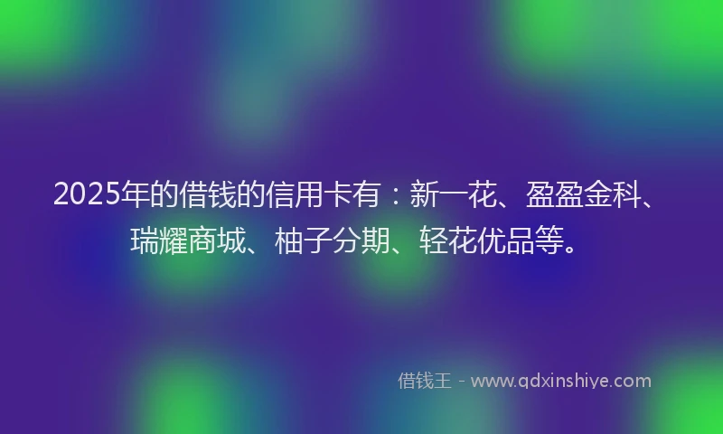 2025年的借钱的信用卡有：新一花、盈盈金科、瑞耀商城、柚子分期、轻花优品等。
