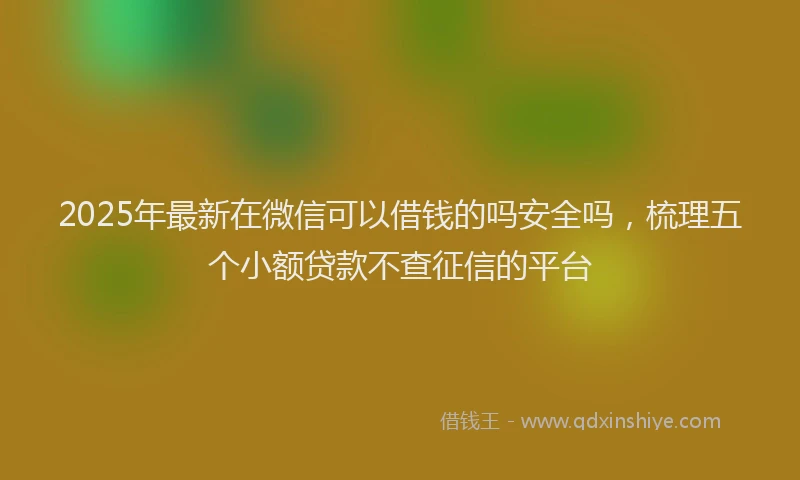 2025年最新在微信可以借钱的吗安全吗，梳理五个小额贷款不查征信的平台