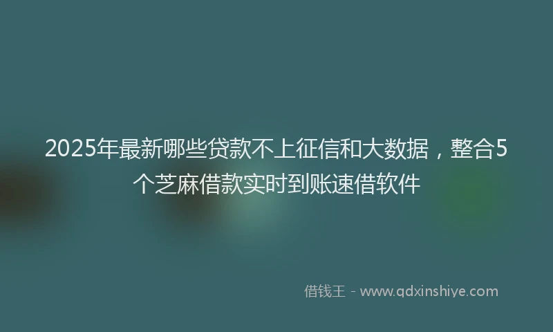 2025年最新哪些贷款不上征信和大数据，整合5个芝麻借款实时到账速借软件