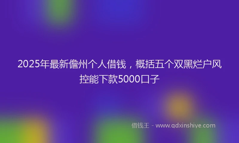 2025年最新儋州个人借钱，概括五个双黑烂户风控能下款5000口子