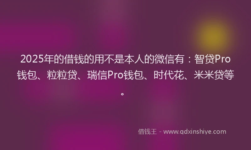 2025年的借钱的用不是本人的微信有：智贷Pro钱包、粒粒贷、瑞信Pro钱包、时代花、米米贷等。