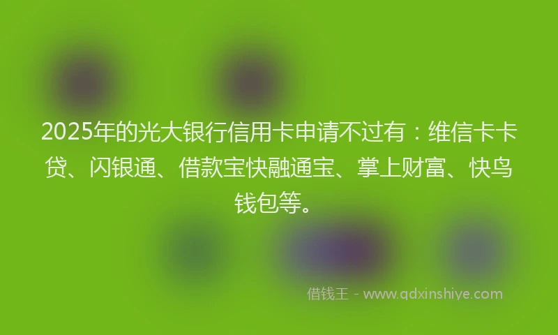 2025年的光大银行信用卡申请不过有：维信卡卡贷、闪银通、借款宝快融通宝、掌上财富、快鸟钱包等。
