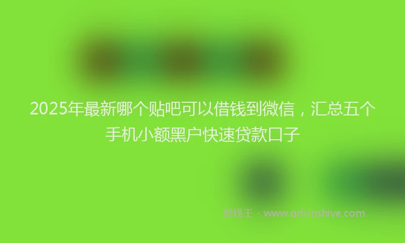 2025年最新哪个贴吧可以借钱到微信，汇总五个手机小额黑户快速贷款口子