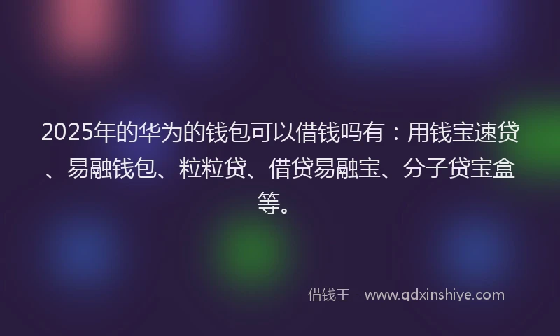 2025年的华为的钱包可以借钱吗有：用钱宝速贷、易融钱包、粒粒贷、借贷易融宝、分子贷宝盒等。