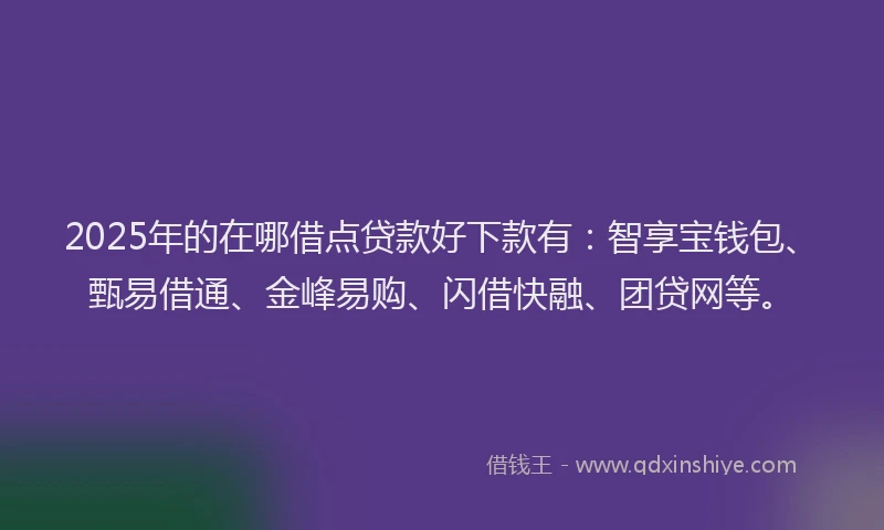 2025年的在哪借点贷款好下款有：智享宝钱包、甄易借通、金峰易购、闪借快融、团贷网等。