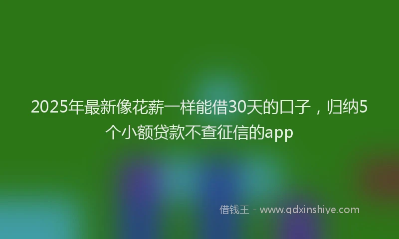 2025年最新像花薪一样能借30天的口子，归纳5个小额贷款不查征信的app