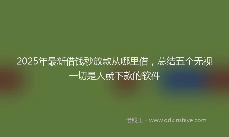 2025年最新借钱秒放款从哪里借，总结五个无视一切是人就下款的软件