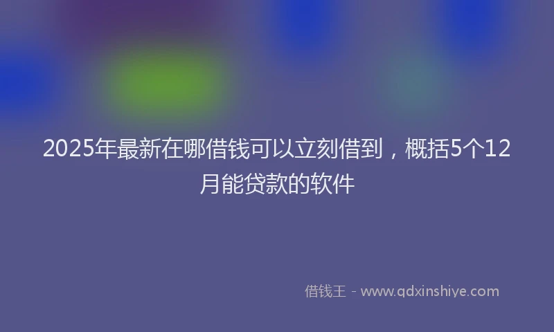 2025年最新在哪借钱可以立刻借到，概括5个12月能贷款的软件