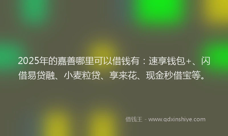 2025年的嘉善哪里可以借钱有：速享钱包+、闪借易贷融、小麦粒贷、享来花、现金秒借宝等。