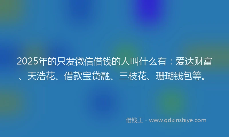 2025年的只发微信借钱的人叫什么有：爱达财富、天浩花、借款宝贷融、三枝花、珊瑚钱包等。
