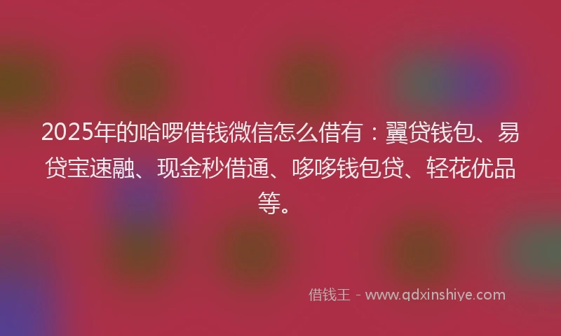 2025年的哈啰借钱微信怎么借有：翼贷钱包、易贷宝速融、现金秒借通、哆哆钱包贷、轻花优品等。