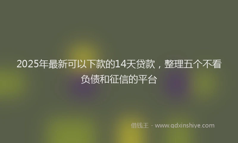 2025年最新可以下款的14天贷款，整理五个不看负债和征信的平台