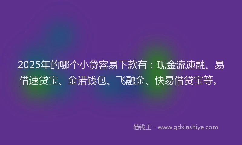 2025年的哪个小贷容易下款有：现金流速融、易借速贷宝、金诺钱包、飞融金、快易借贷宝等。