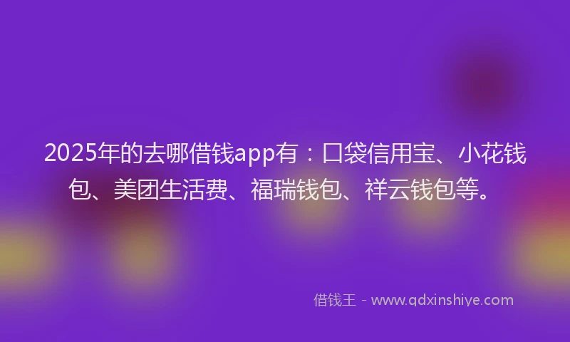 2025年的去哪借钱app有：口袋信用宝、小花钱包、美团生活费、福瑞钱包、祥云钱包等。