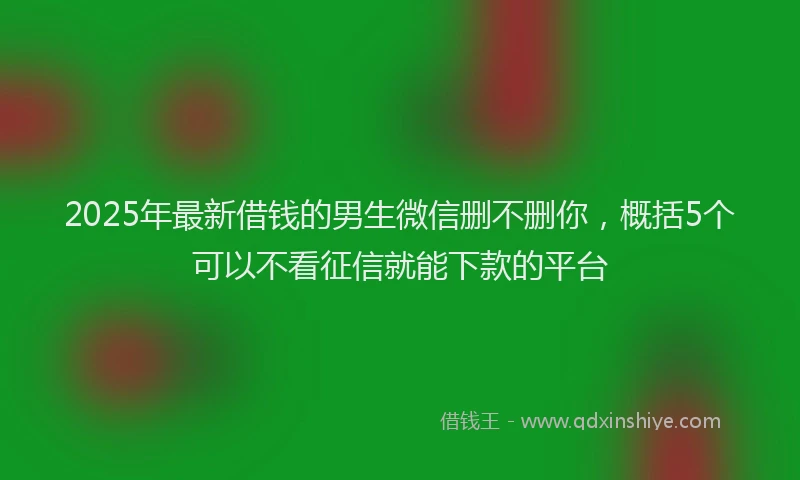 2025年最新借钱的男生微信删不删你，概括5个可以不看征信就能下款的平台