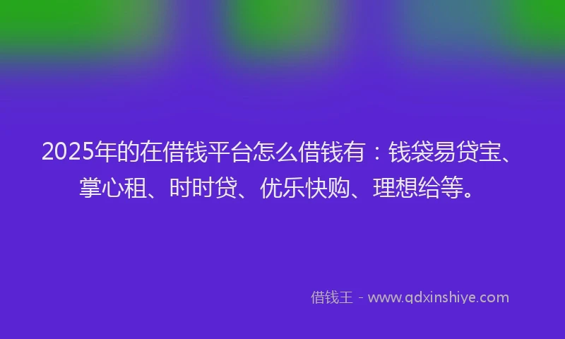 2025年的在借钱平台怎么借钱有：钱袋易贷宝、掌心租、时时贷、优乐快购、理想给等。