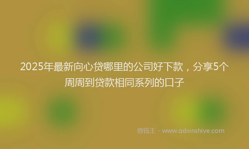 2025年最新向心贷哪里的公司好下款，分享5个周周到贷款相同系列的口子
