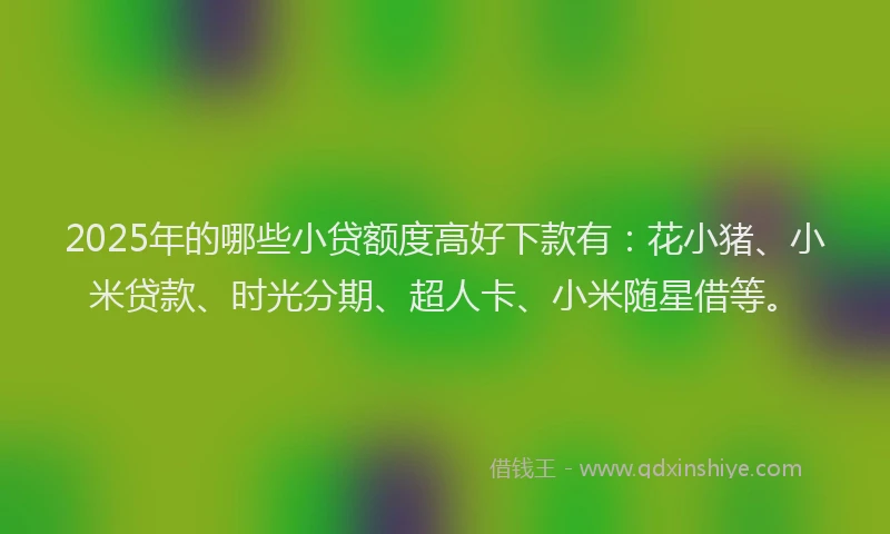 2025年的哪些小贷额度高好下款有：花小猪、小米贷款、时光分期、超人卡、小米随星借等。