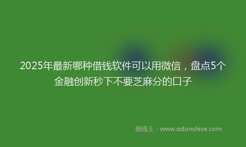 2025年最新哪种借钱软件可以用微信，盘点5个金融创新秒下不要芝麻分的口子