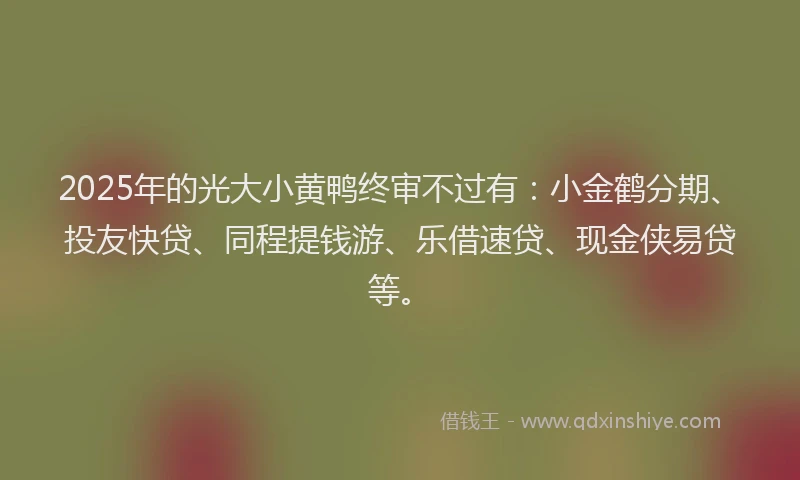 2025年的光大小黄鸭终审不过有：小金鹤分期、投友快贷、同程提钱游、乐借速贷、现金侠易贷等。