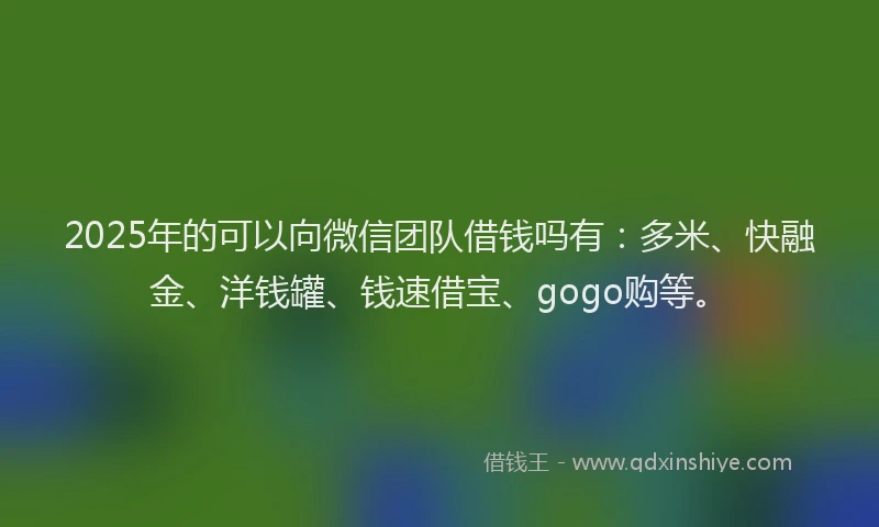 2025年的可以向微信团队借钱吗有：多米、快融金、洋钱罐、钱速借宝、gogo购等。