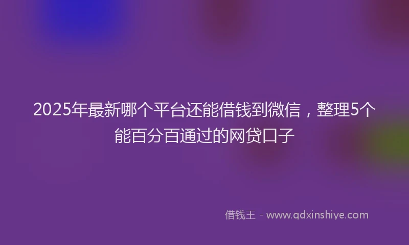 2025年最新哪个平台还能借钱到微信，整理5个能百分百通过的网贷口子