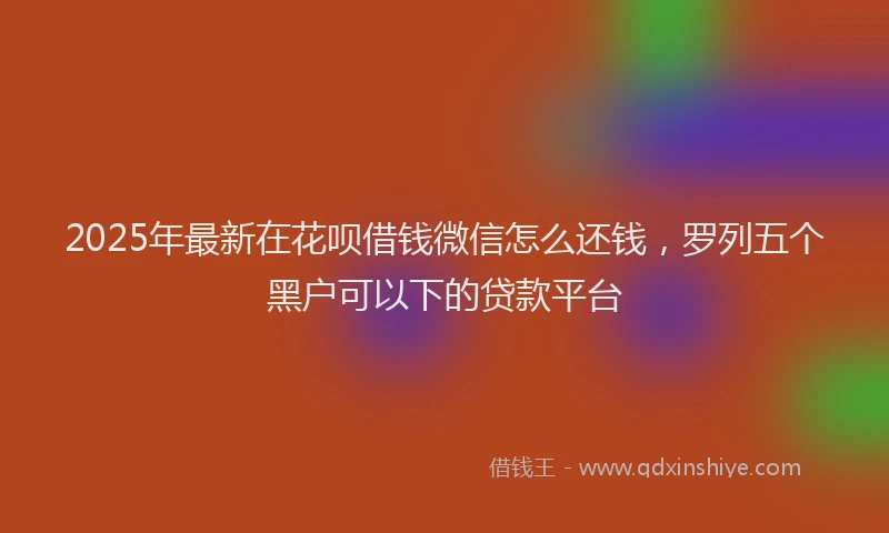 2025年最新在花呗借钱微信怎么还钱，罗列五个黑户可以下的贷款平台