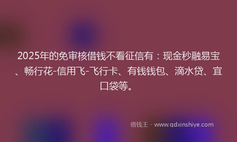 2025年的免审核借钱不看征信有：现金秒融易宝、畅行花-信用飞-飞行卡、有钱钱包、滴水贷、宜口袋等。