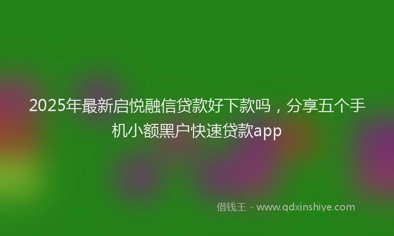 2025年最新启悦融信贷款好下款吗，分享五个手机小额黑户快速贷款app