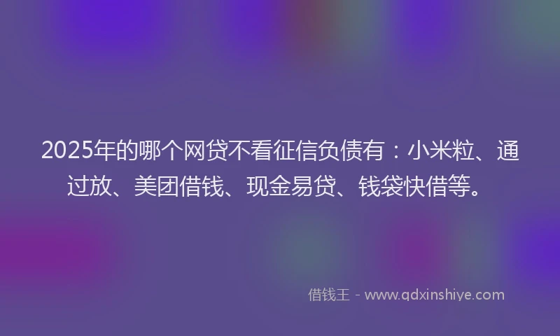 2025年的哪个网贷不看征信负债有：小米粒、通过放、美团借钱、现金易贷、钱袋快借等。