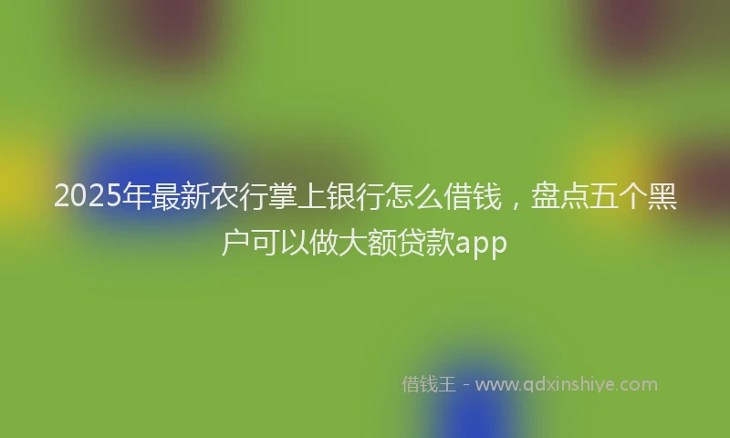 2025年最新农行掌上银行怎么借钱，盘点五个黑户可以做大额贷款app