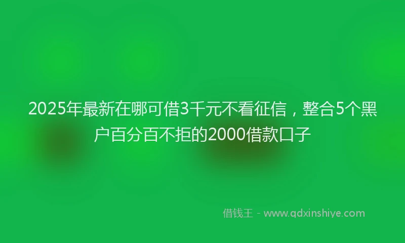 2025年最新在哪可借3千元不看征信，整合5个黑户百分百不拒的2000借款口子